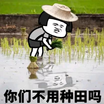 扶老奶奶闯红灯(der)