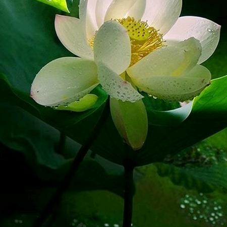 春华秋实