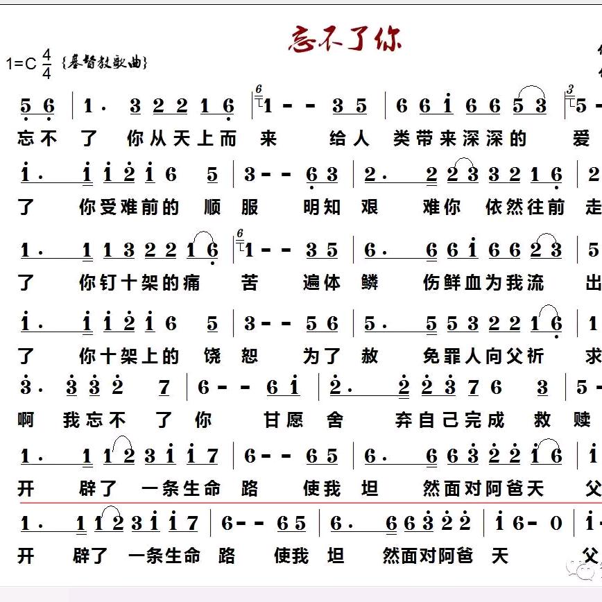 我是小绵羊