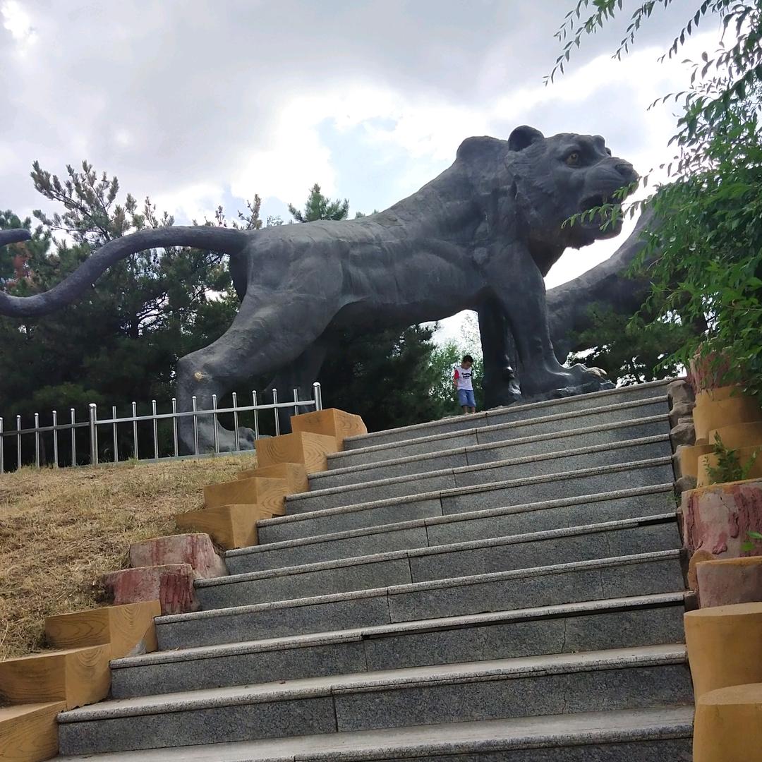 天