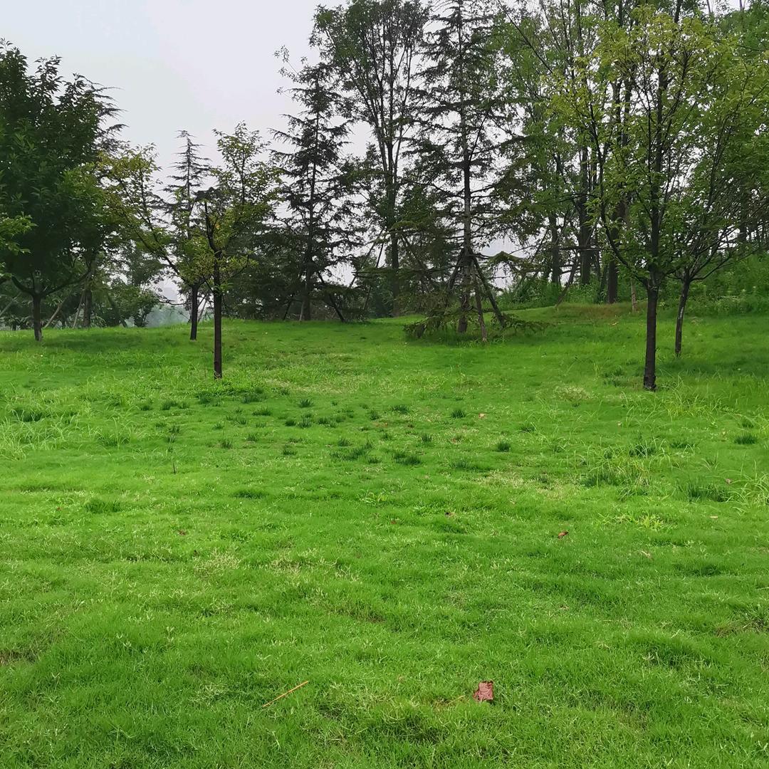 蓝色海洋—乔丹