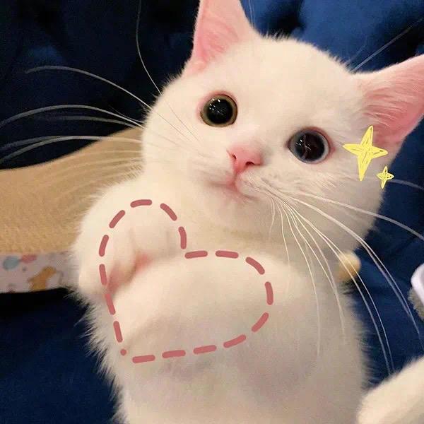 独白