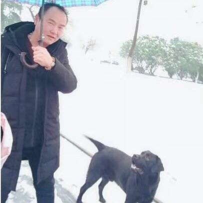 王少华
