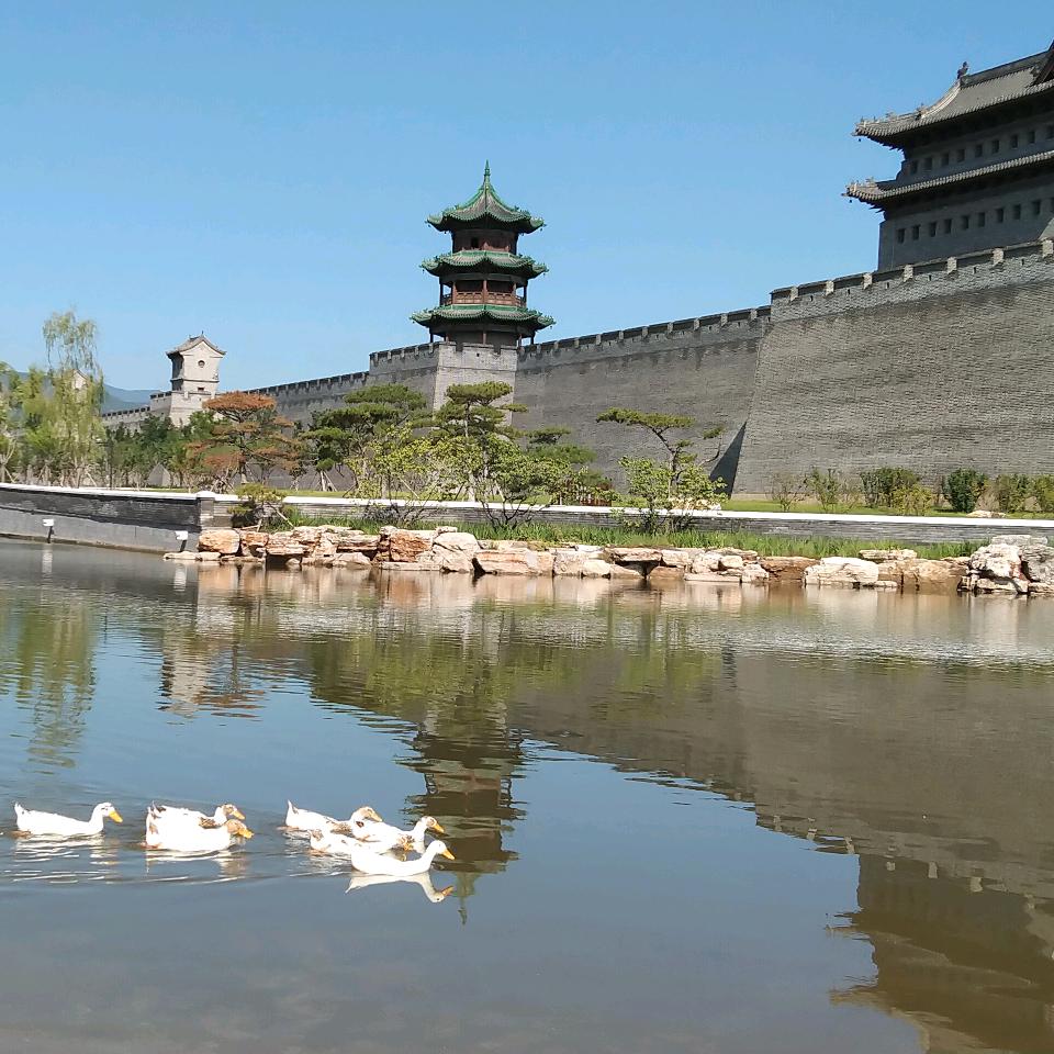 师路登峰