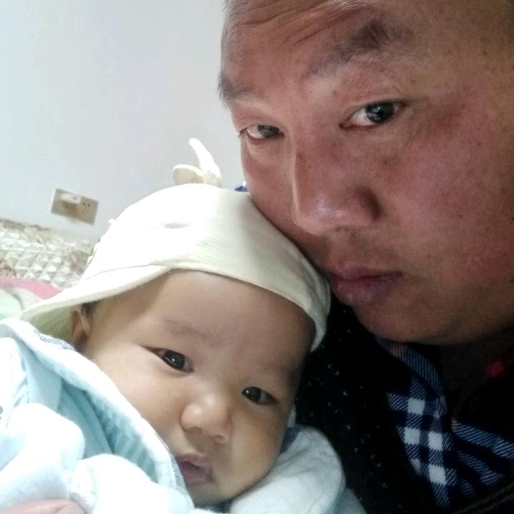货运小小魏魏