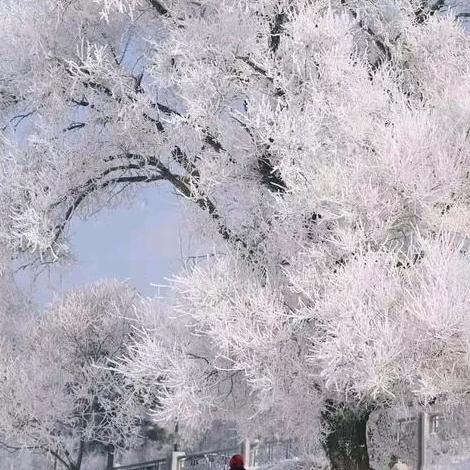 醉八翁