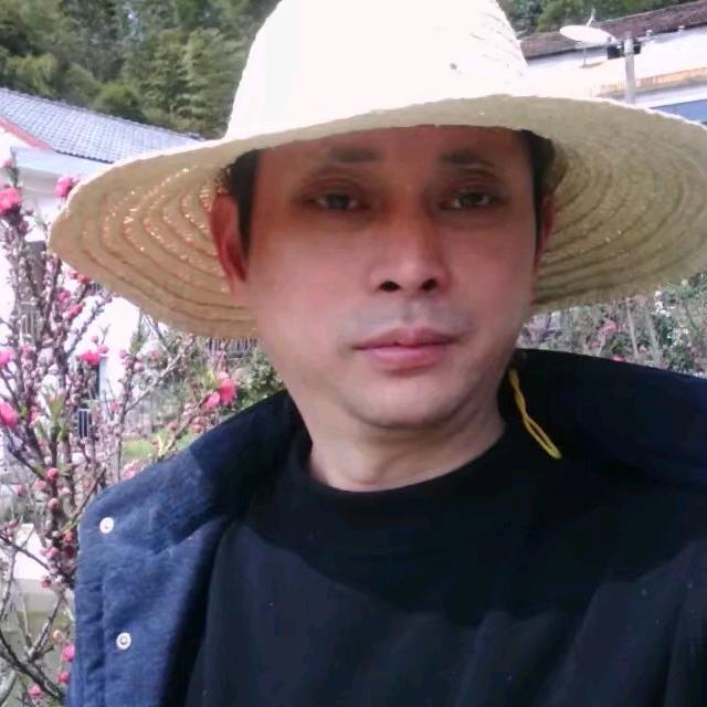 🇨🇳🐒伟鸣🐒🇨🇳手机摄影📷