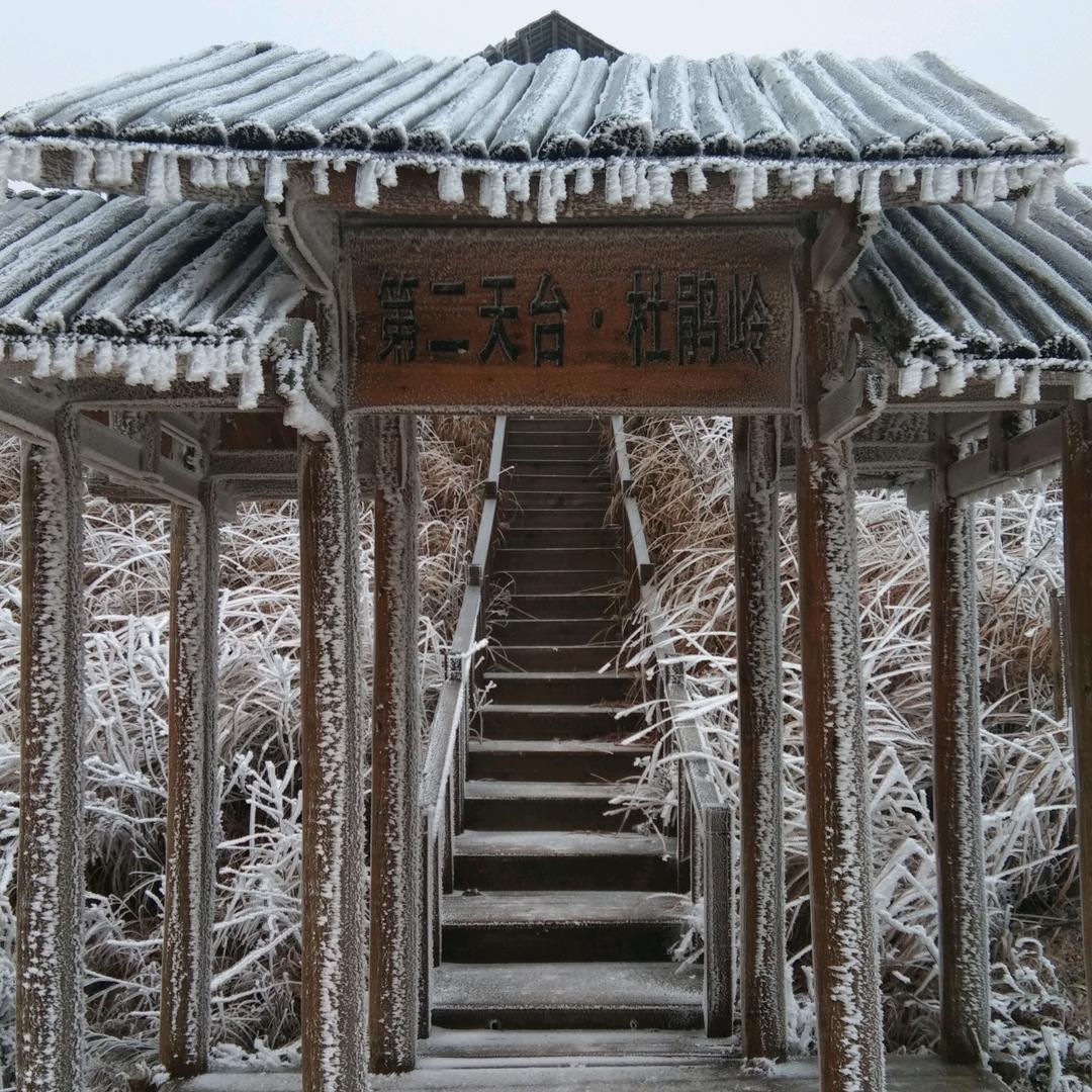 天崖