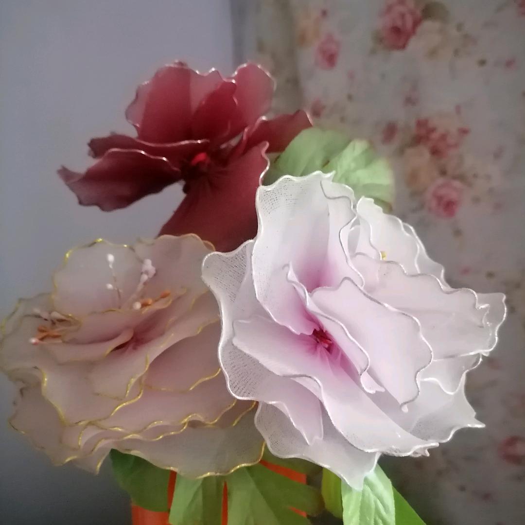 兔子啃骨头