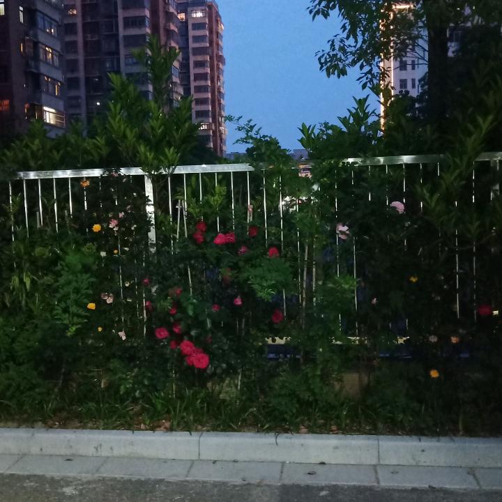 @舍得，放下🌹