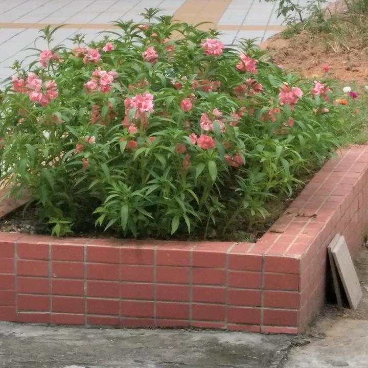 用户路人甲