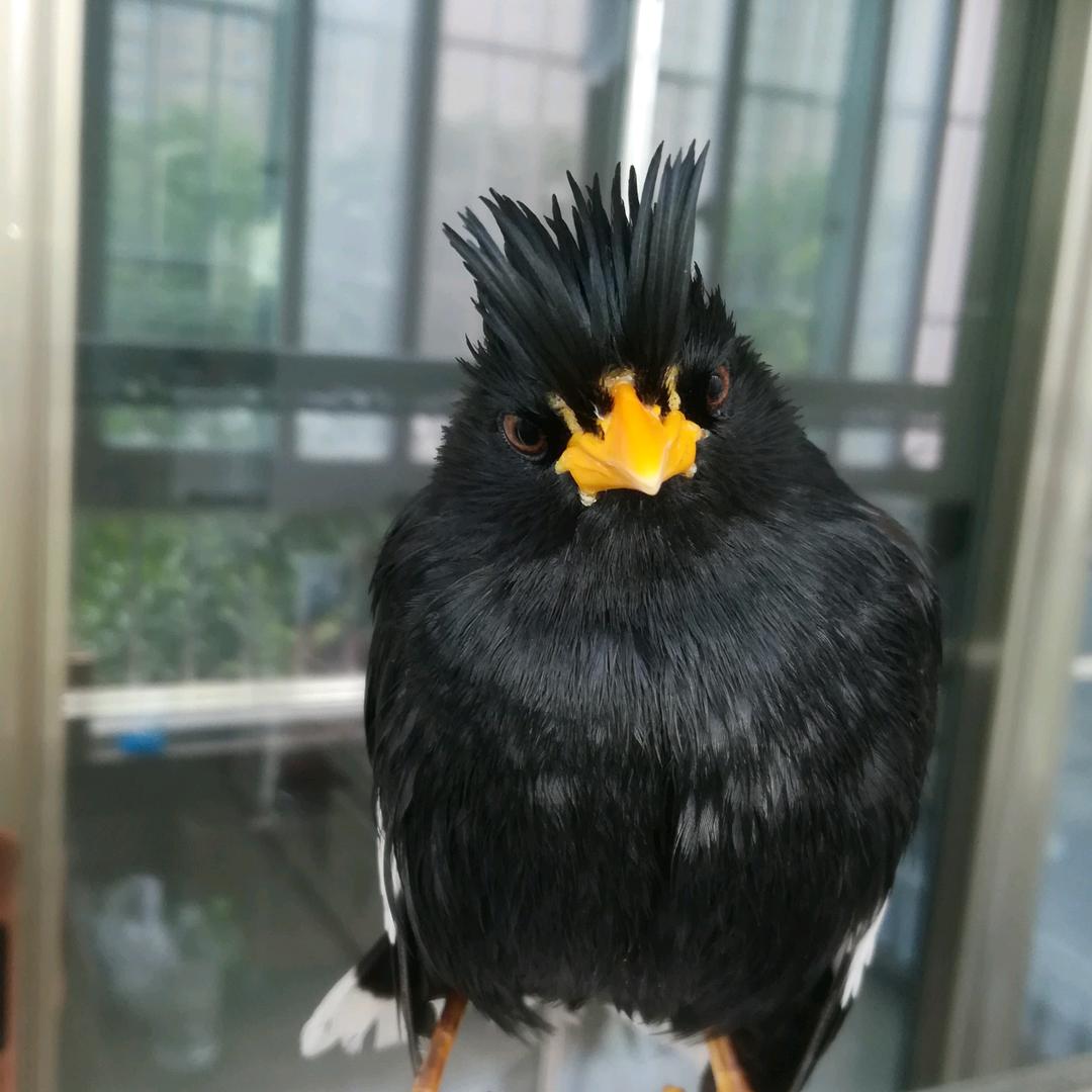天上云