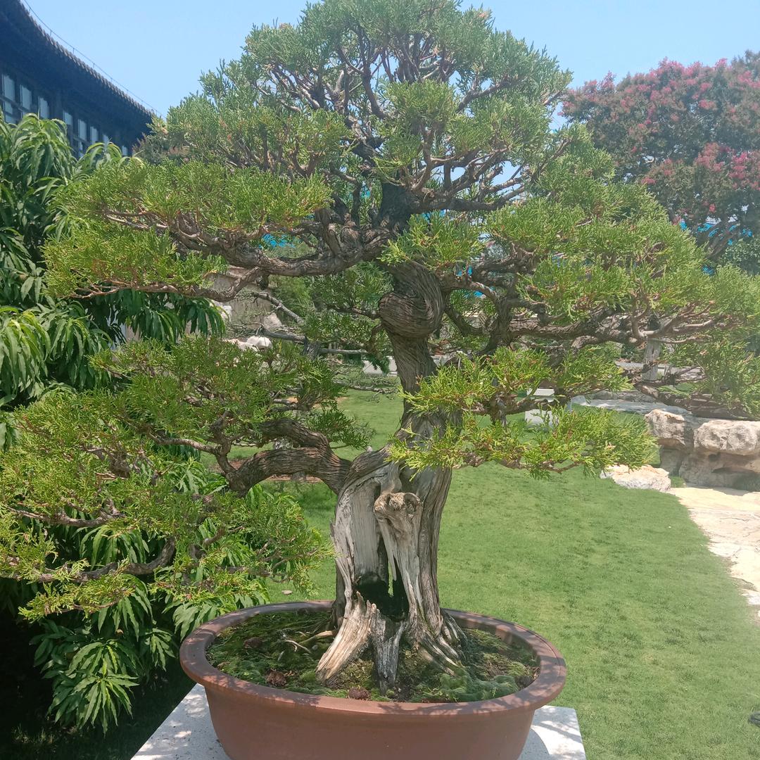 与人为善