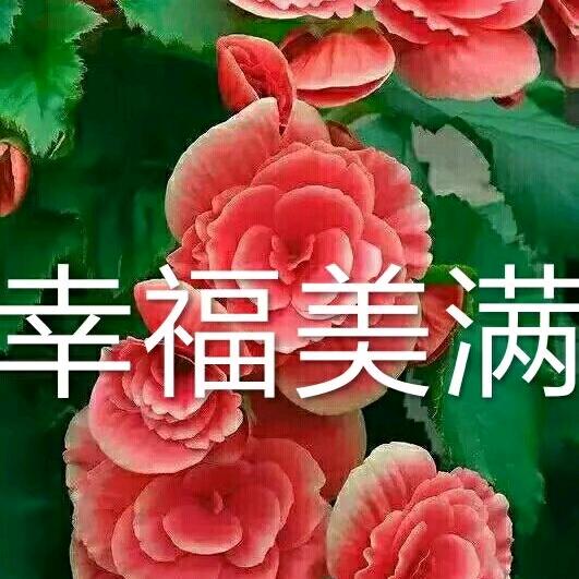 幸福美满
