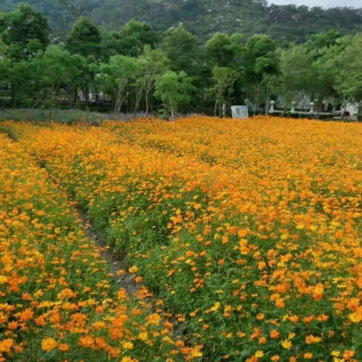 岳池鑫锐疏通