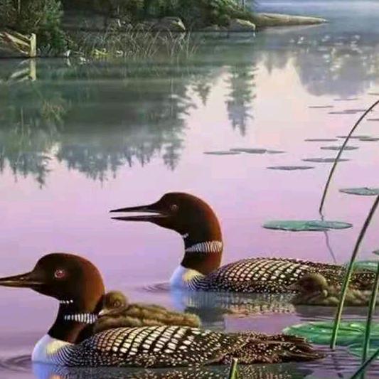 💍懂 🦋你🦋最💫美💍