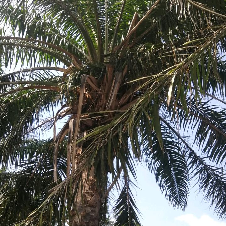 慢慢品味