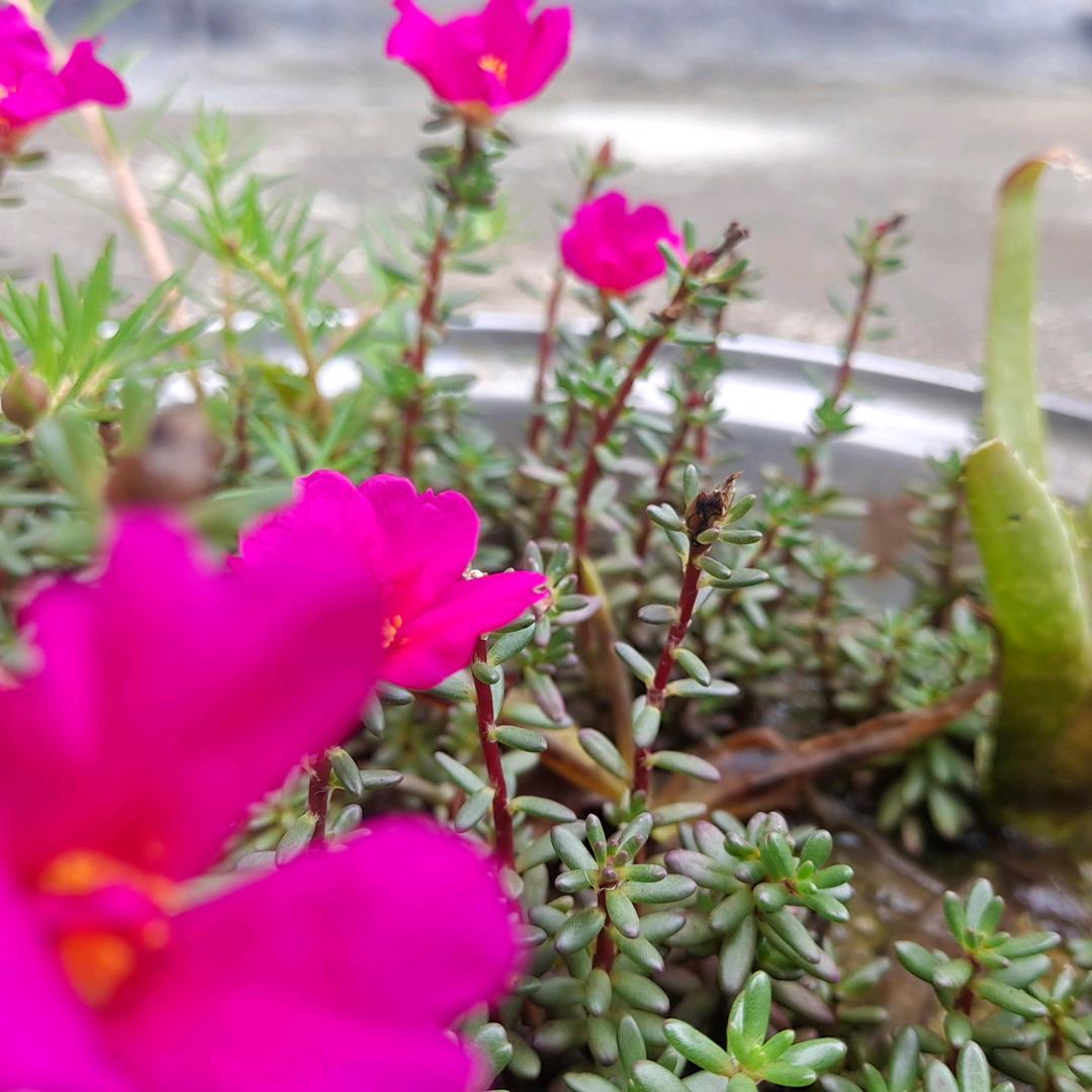 大众理发（摩卡店）