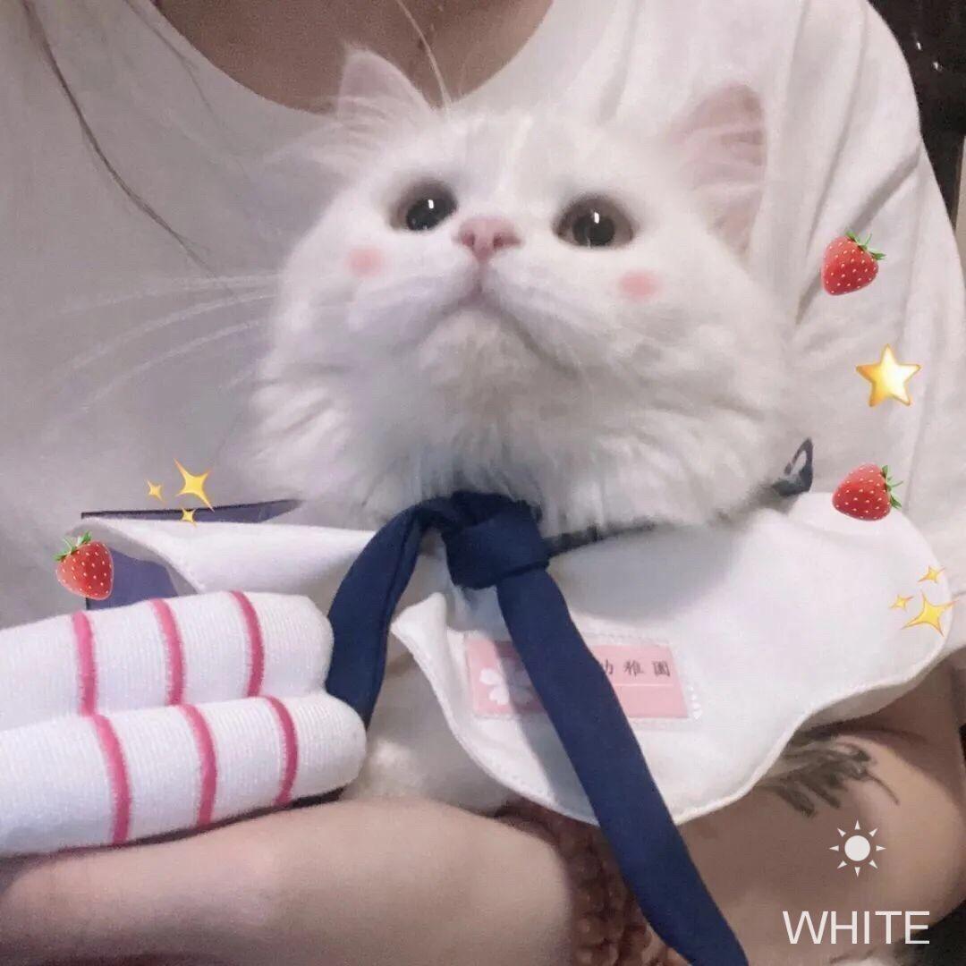 OldWhite