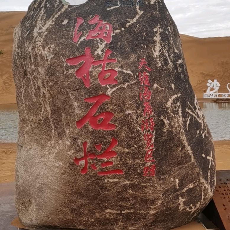 &追梦$$$