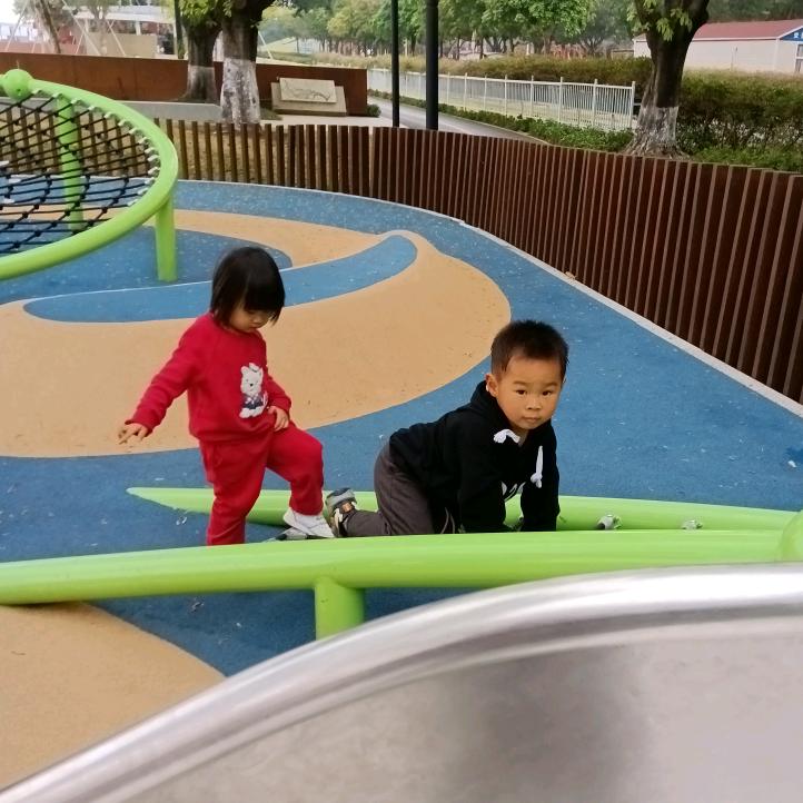 大自然的一棵树