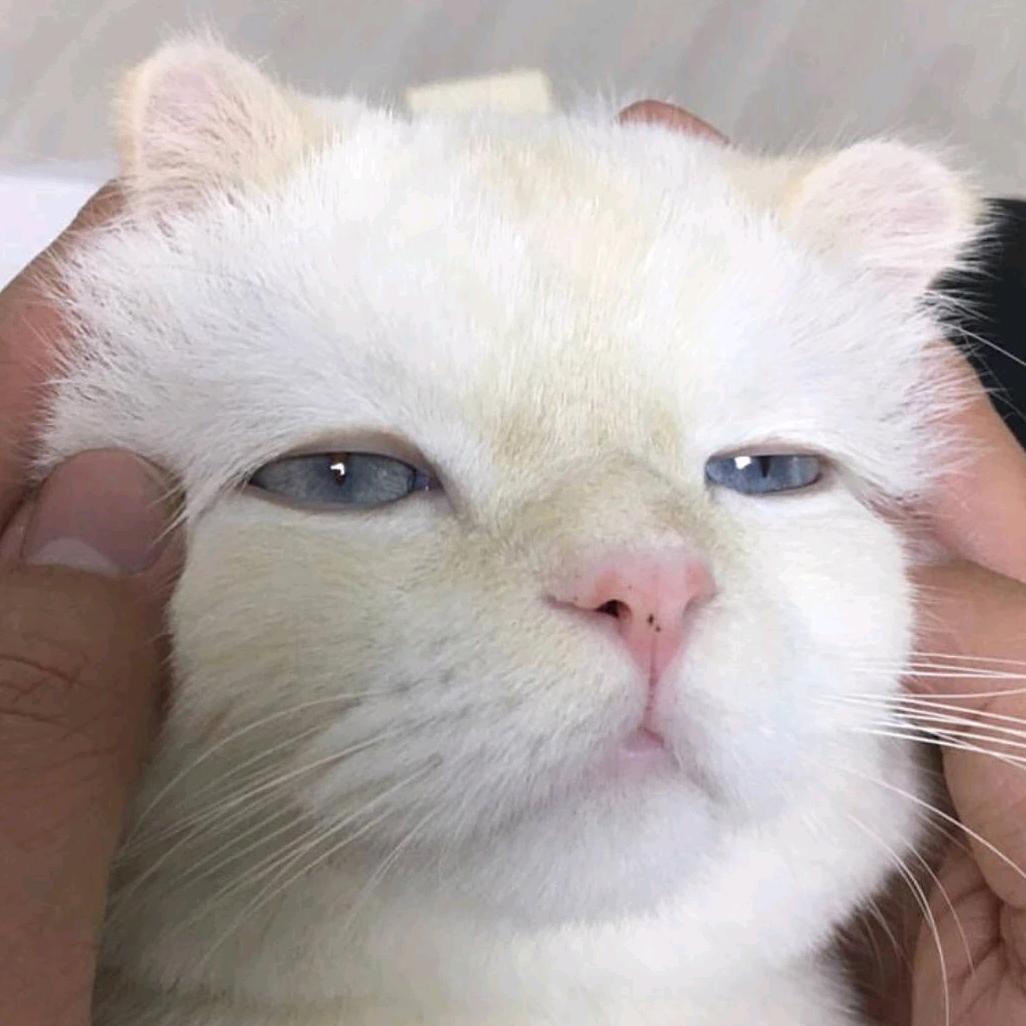 超佛的霄