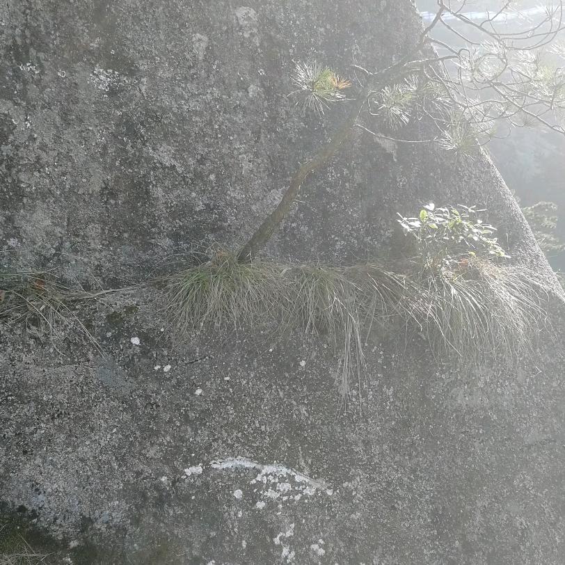 高高在上五里山岗