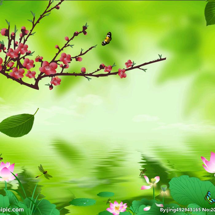 🌾蓝天、白云、稻穗🌾