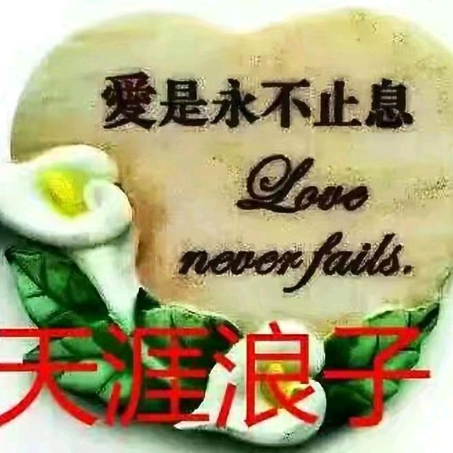 天涯浪子