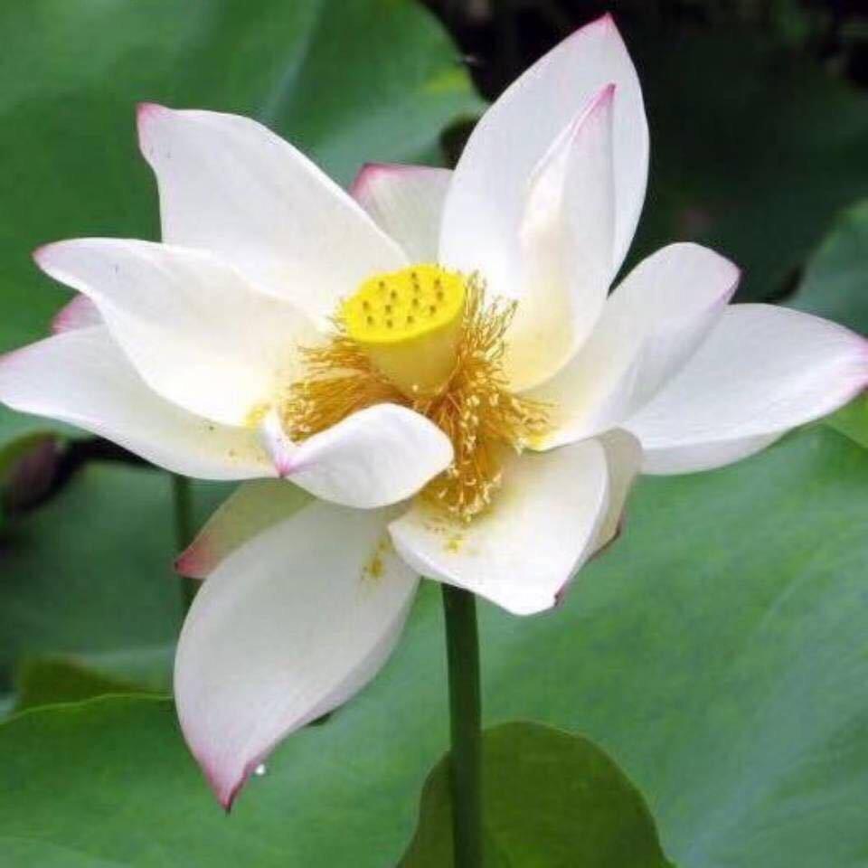 最孤独的从来不是一个人