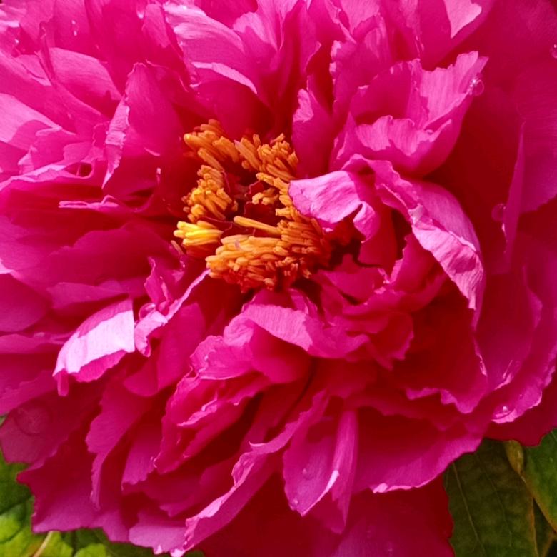 母婴护理师郁姐