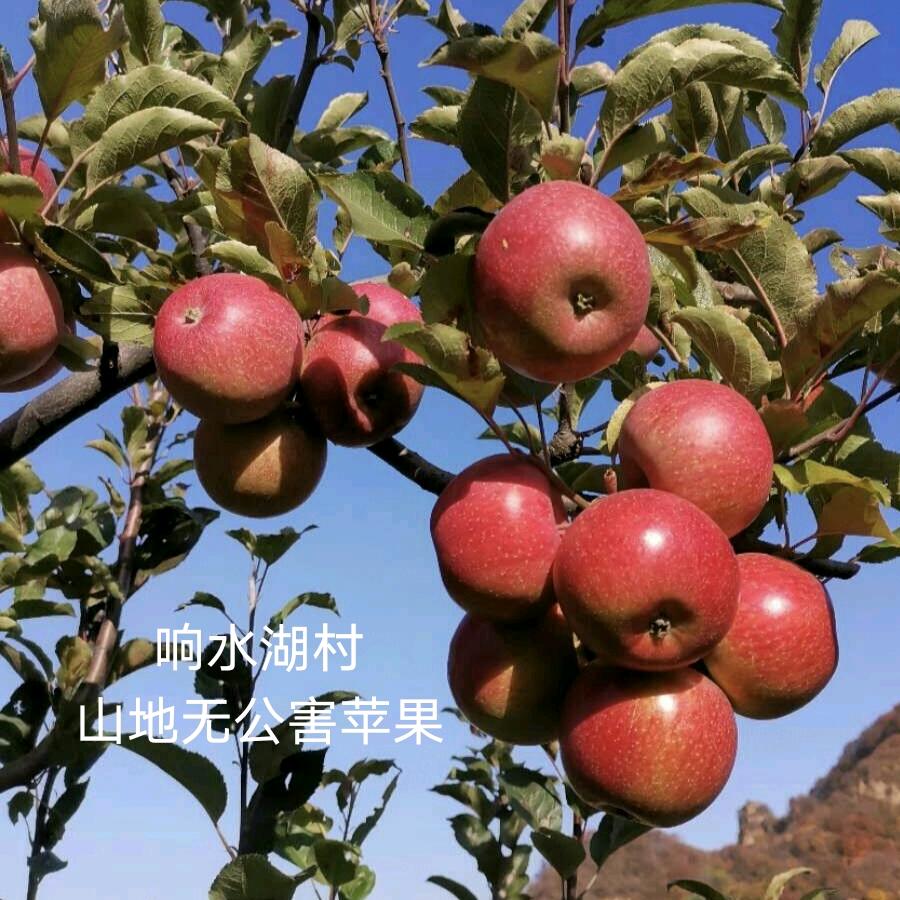 随缘