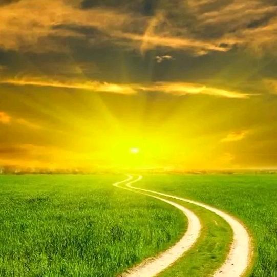 用户1779500811654成功之路