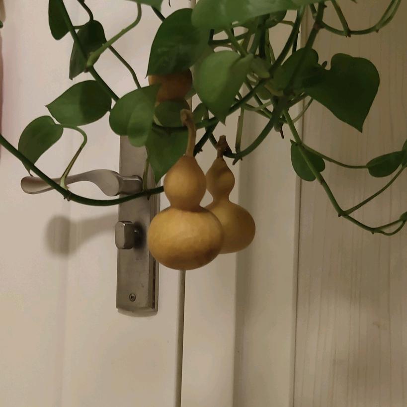 江湖