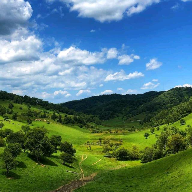 用户2074990072978朵朵奶奶