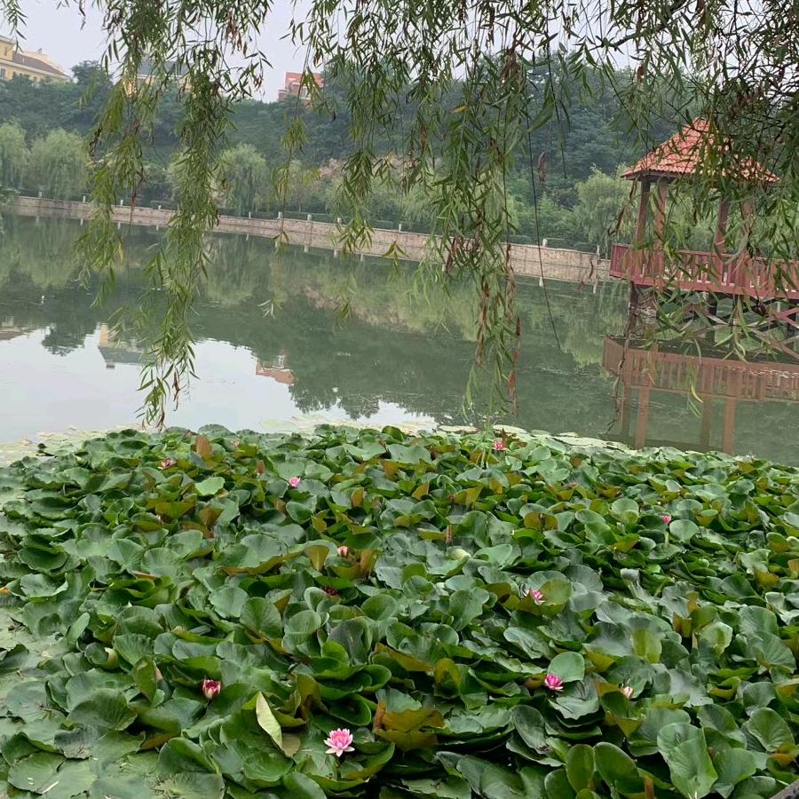 只能在评论区看到我～✨✨✨