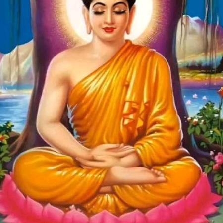 快乐哥《菲虎队》。\