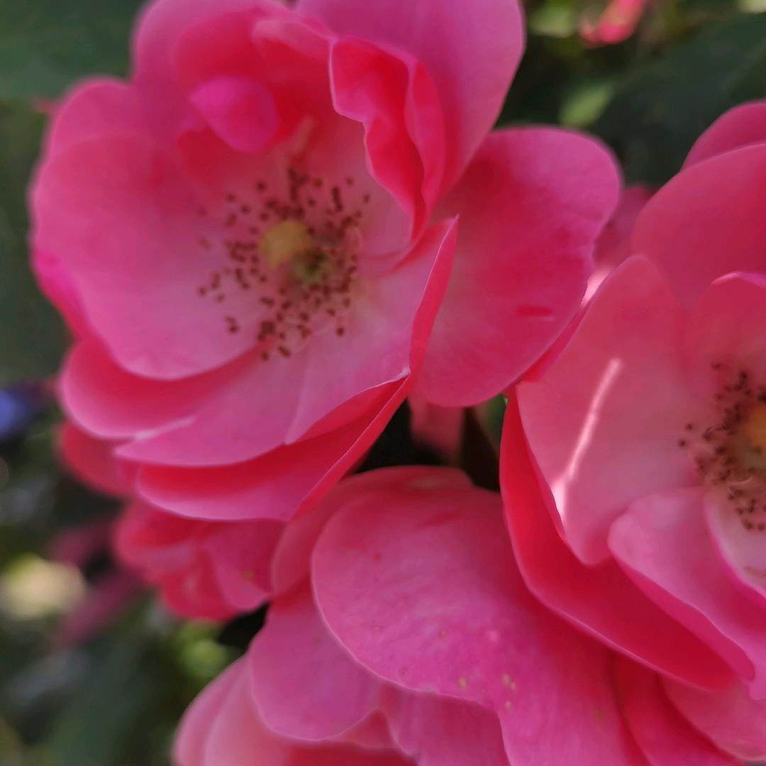 平淡生活平淡过