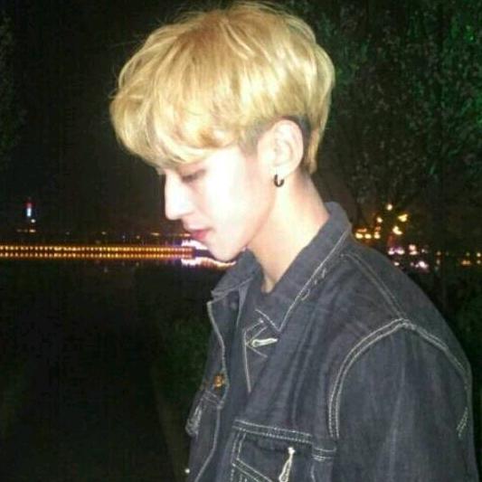 林之文
