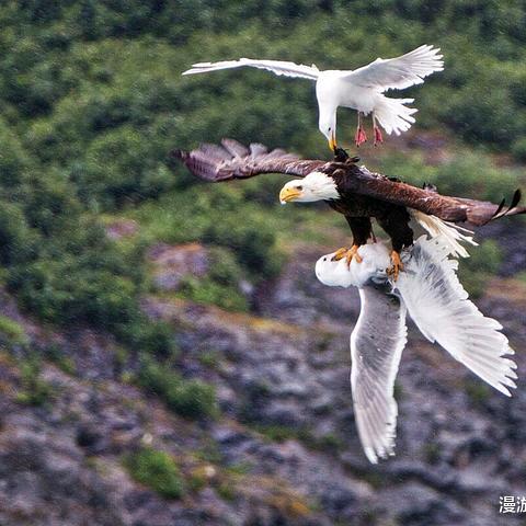 东北菜饺子馆烧烤（厚街店）