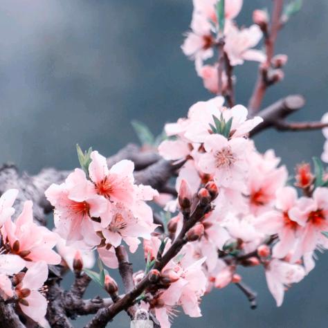 ✨💕ꦿ᭄有点小✨任性༉ᩚ᭄