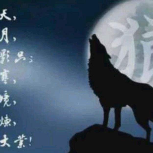 旺哥