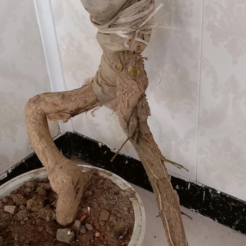 挖掘人生做系统