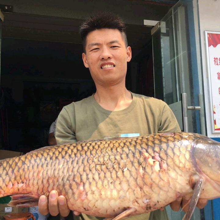 渔歌子渔具