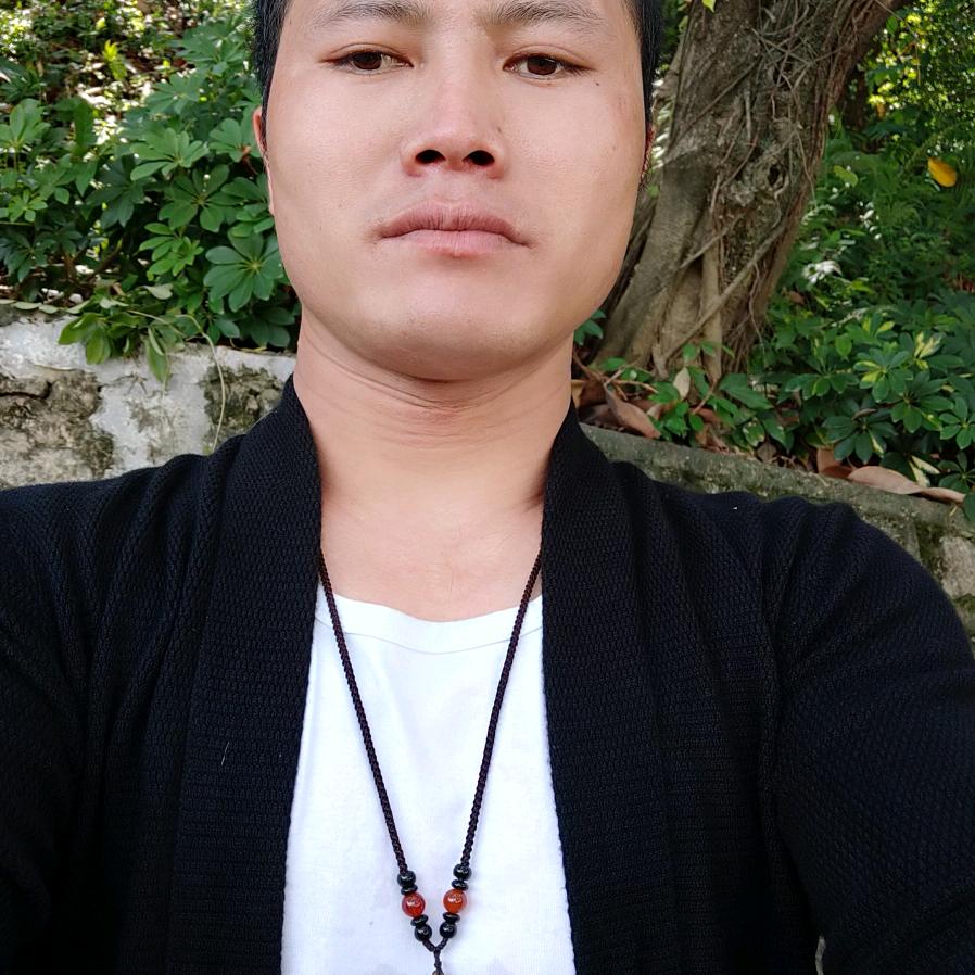小杨52772