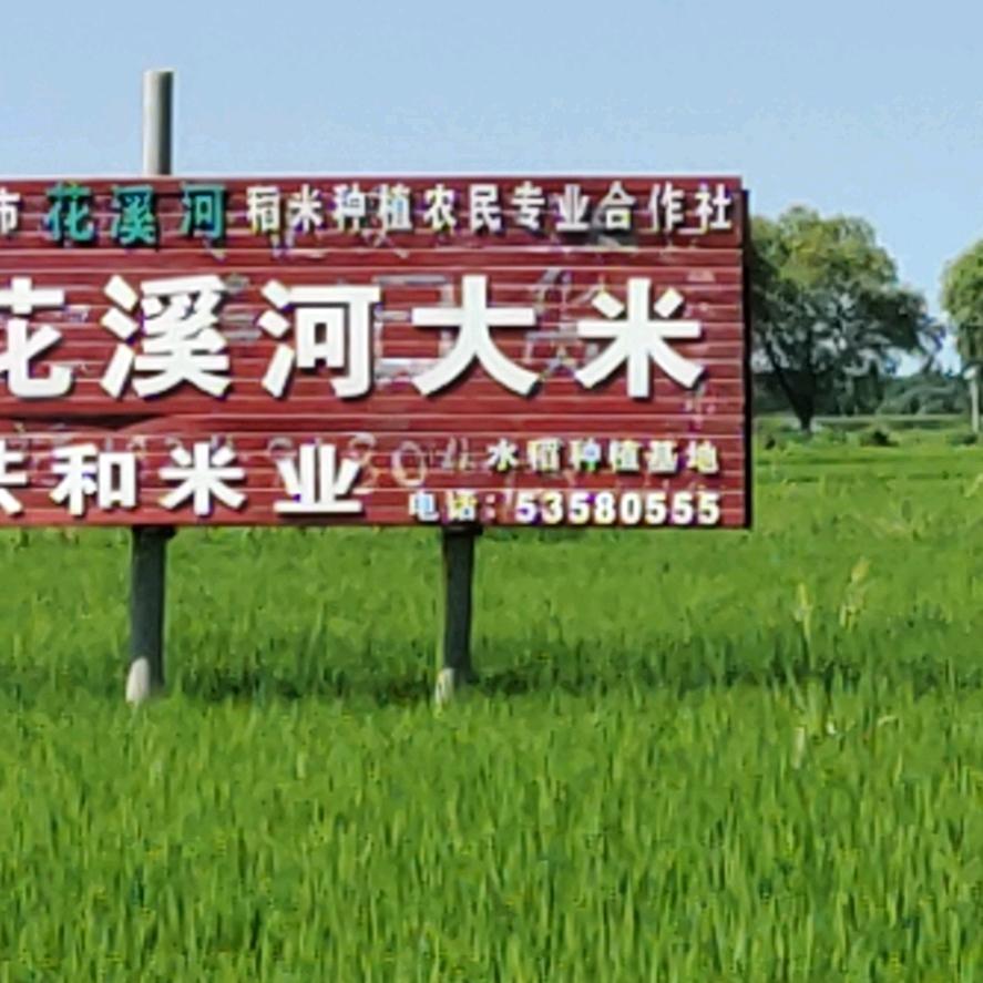 五常市共和米业