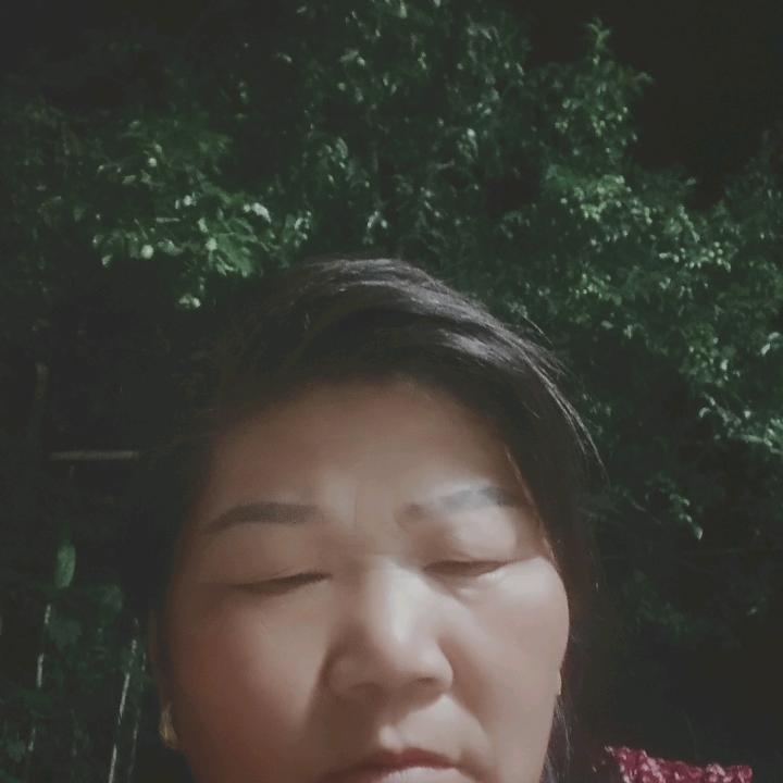 七老婆高车