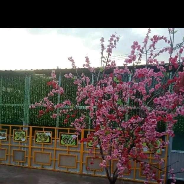 两宝