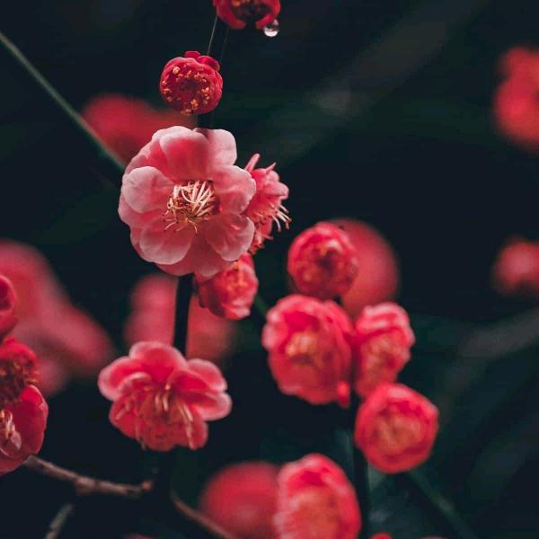 郭