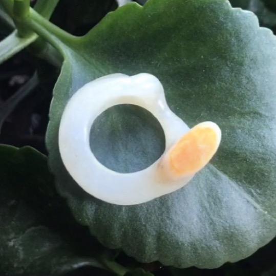 陌上花开